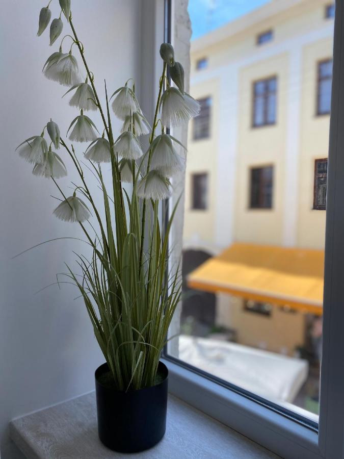 Homelike Apartment Leopoli Esterno foto